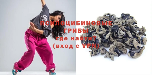 2c-b Богородск