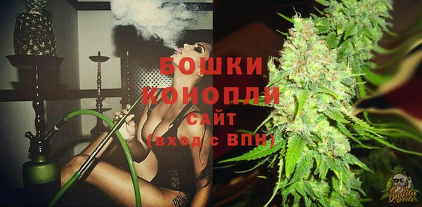 2c-b Богородск