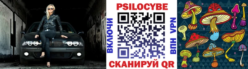Галлюциногенные грибы Cubensis  Купить закладки  Льгов 